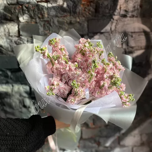 Виура