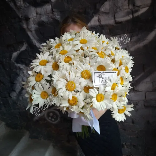 Зои