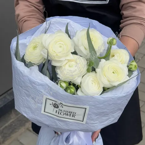 Нола